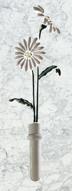 Margherite bianche incise su marmo con portafiori